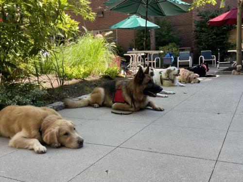 68304858874  89C4AFBF-A4B6-4F02-85FE-8F4783546255