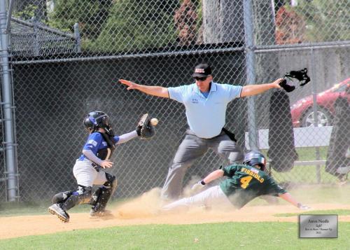 Aaron Needle  "Safe!" Best in Show Runner Up