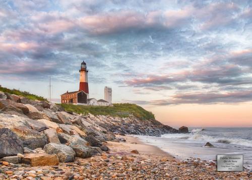 Debbie Monastero "After the Storm" Grand Prize Long Island/NY Category 