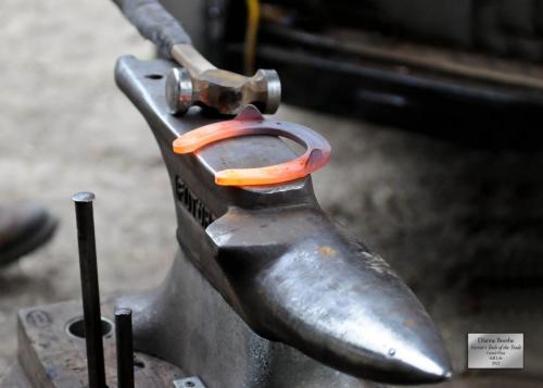Dianne Boothe  "Farriers Tools of The Trade" Grand Prize  Still Life Category