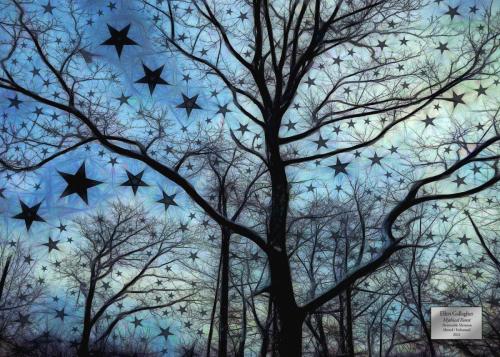 Ellen Gallagher "Mystical Forest" Honorable Mention  Altered/Enhanced Category