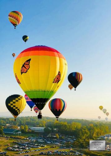 Michelle Nickerson "Fly With Me" Grand Prize Action/Sports Category